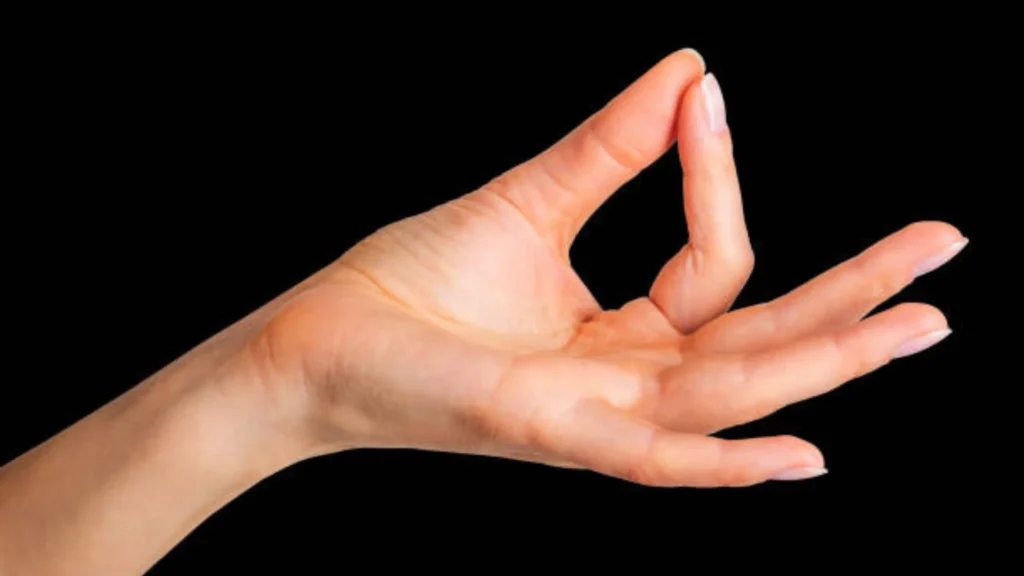 Daily Mudras